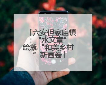 六安但家庙镇：“水文章” 绘就“和美乡村”新画卷