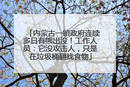 内蒙古一镇政府连续多日有熊出没！工作人员：它没攻击人，只是在垃圾桶翻找食物