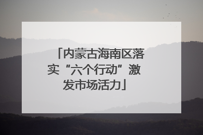 内蒙古海南区落实“六个行动”激发市场活力