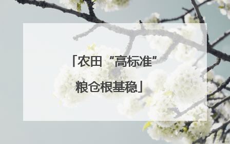 农田“高标准” 粮仓根基稳