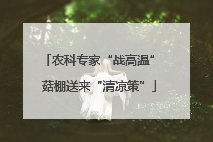 农科专家“战高温” 菇棚送来“清凉策”