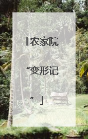 农家院“变形记”