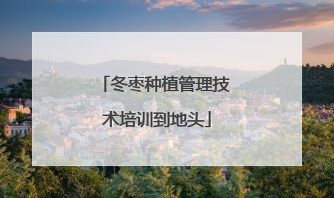 冬枣种植管理技术培训到地头