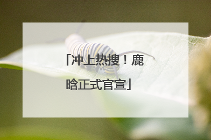 冲上热搜！鹿晗正式官宣