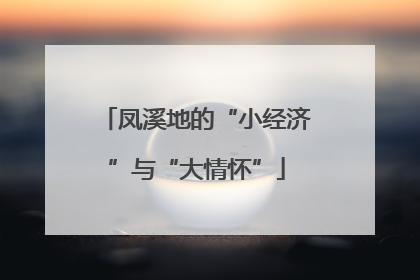 凤溪地的“小经济”与“大情怀”