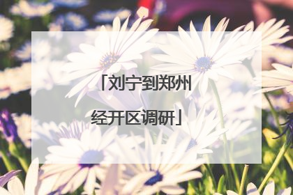 刘宁到郑州经开区调研