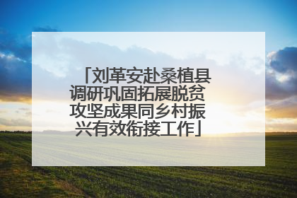 刘革安赴桑植县调研巩固拓展脱贫攻坚成果同乡村振兴有效衔接工作