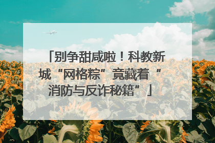 别争甜咸啦！科教新城“网格粽”竟藏着“消防与反诈秘籍”