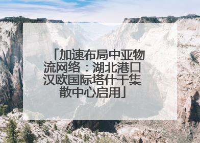 加速布局中亚物流网络：湖北港口汉欧国际塔什干集散中心启用