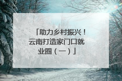 助力乡村振兴！云南打造家门口就业圈（一）