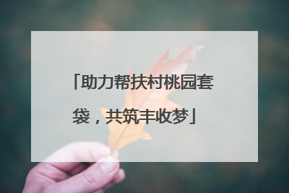 助力帮扶村桃园套袋，共筑丰收梦