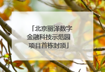 北京丽泽数字金融科技示范园项目首栋封顶