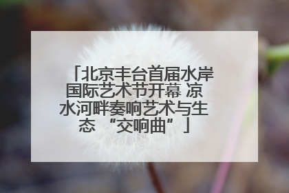 北京丰台首届水岸国际艺术节开幕 凉水河畔奏响艺术与生态 “交响曲”