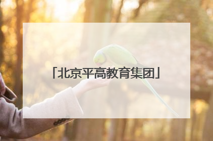 北京平高教育集团