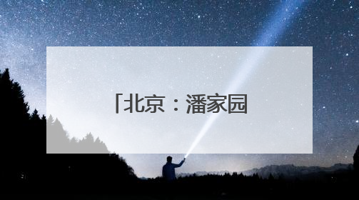 北京：潘家园何以悄悄成为年轻人心头好？