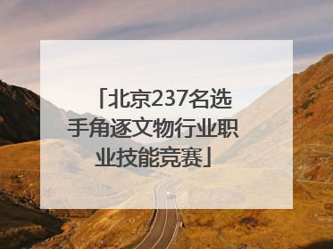 北京237名选手角逐文物行业职业技能竞赛
