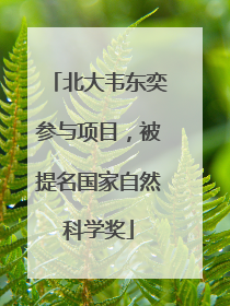 北大韦东奕参与项目，被提名国家自然科学奖