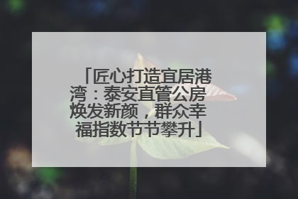匠心打造宜居港湾：泰安直管公房焕发新颜，群众幸福指数节节攀升