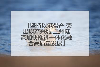 坚持以港带产 突出以产兴城 兰州陆港加快推进一体化融合高质量发展