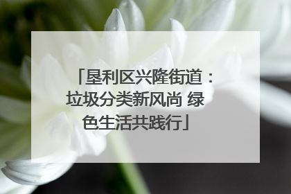 垦利区兴隆街道：垃圾分类新风尚 绿色生活共践行