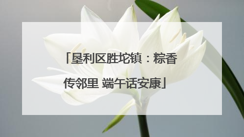 垦利区胜坨镇：粽香传邻里 端午话安康