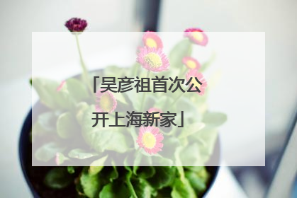 吴彦祖首次公开上海新家