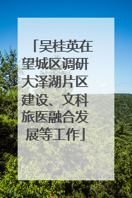 吴桂英在望城区调研大泽湖片区建设、文科旅医融合发展等工作