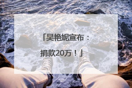 吴艳妮宣布：捐款20万！