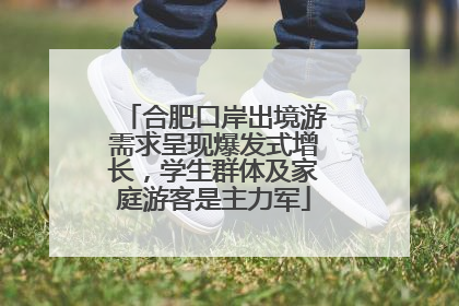 合肥口岸出境游需求呈现爆发式增长，学生群体及家庭游客是主力军
