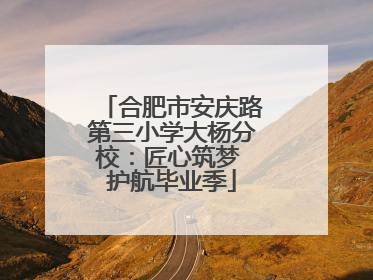 合肥市安庆路第三小学大杨分校：匠心筑梦 护航毕业季