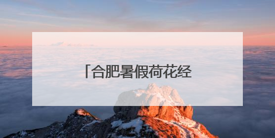 合肥暑假荷花经济红火 全国多地花艺文创销售旺