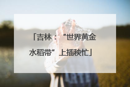 吉林：“世界黄金水稻带”上插秧忙