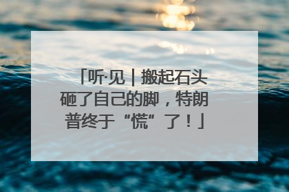 听·见｜搬起石头砸了自己的脚，特朗普终于“慌”了！