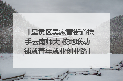 呈贡区吴家营街道携手云南师大 校地联动铺就青年就业创业路