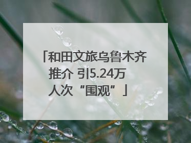 和田文旅乌鲁木齐推介 引5.24万人次“围观”