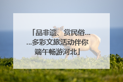 品非遗、赏民俗……多彩文旅活动伴你端午畅游河北