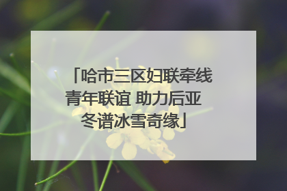 哈市三区妇联牵线青年联谊 助力后亚冬谱冰雪奇缘