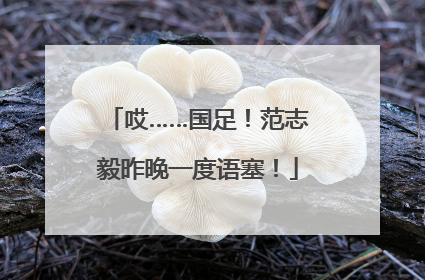哎……国足！范志毅昨晚一度语塞！