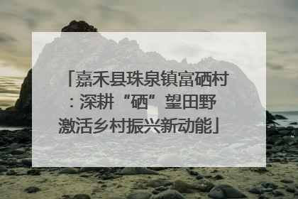 嘉禾县珠泉镇富硒村：深耕“硒”望田野 激活乡村振兴新动能