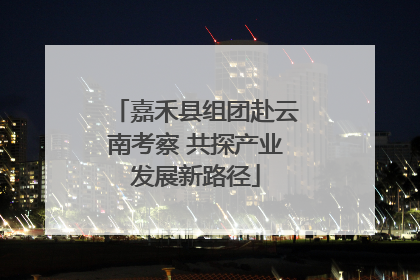嘉禾县组团赴云南考察 共探产业发展新路径