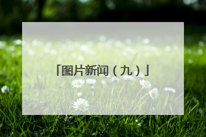 图片新闻（九）