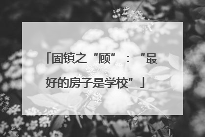 固镇之“顾”：“最好的房子是学校”