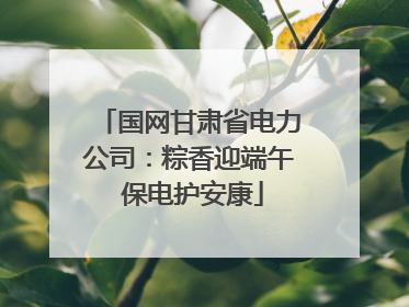 国网甘肃省电力公司：粽香迎端午 保电护安康