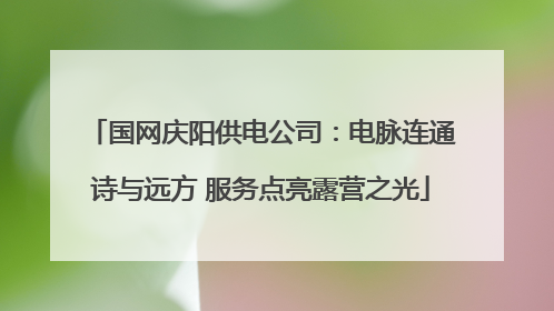 国网庆阳供电公司：电脉连通诗与远方 服务点亮露营之光
