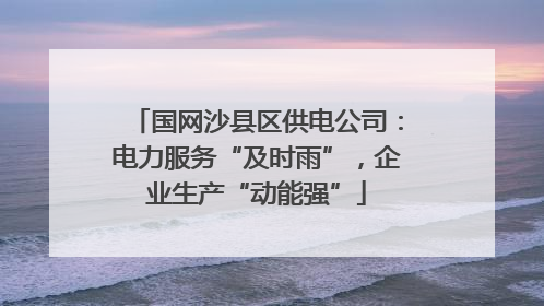 国网沙县区供电公司：电力服务“及时雨”，企业生产“动能强”