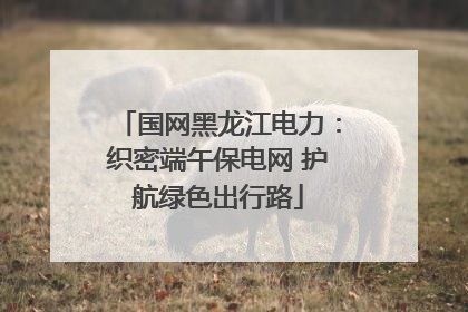 国网黑龙江电力：织密端午保电网 护航绿色出行路