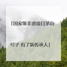 国家级非遗项目茅山号子 有了新传承人