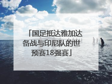 国足抵达雅加达备战与印尼队的世预赛18强赛