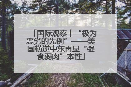 国际观察丨“极为恶劣的先例”——美国横逆中东再显“强食弱肉”本性