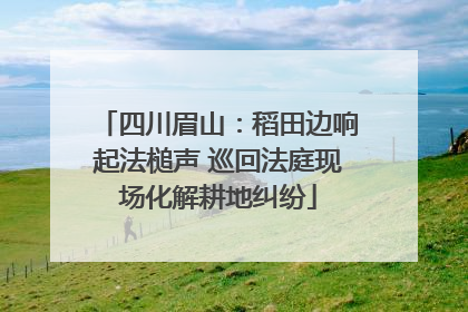 四川眉山：稻田边响起法槌声 巡回法庭现场化解耕地纠纷